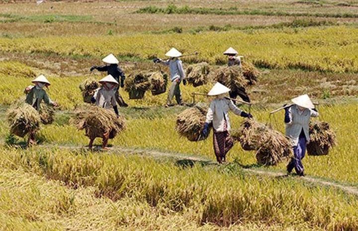 Cách Khởi Nghiệp Kiếm Tiền Bán Thời Gian Dành Cho Người Mới