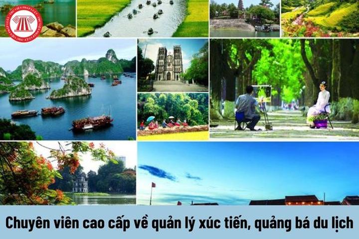 Vàng từ những khoảnh khắc đáng yêu: Kiếm tiền từ thú cưng với Hotspot Matrix