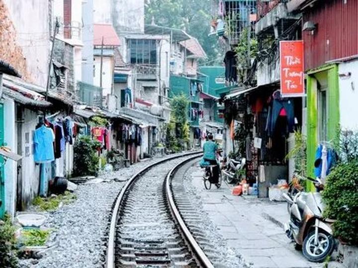 Bonobo: Nguồn Gốc Tiến Hóa Của Ngôn Ngữ Con Người?